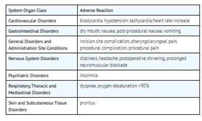 Adverse 1 (Adverse 1)